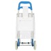 chariot shopping pvc enfant, 2-fois assorti, poussette à marché ou cabas à roulettes publicidad