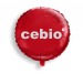 Globo de mylar hecho a medida regalo de empresa