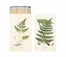 Boîte de 48-50 allumettes longues regalo de empresa