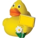 Canard voyage - MBW regalo de empresa