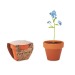 Miniatura del producto FORGET ME NOT - Maceta de semillas de nomeolvides 0