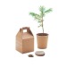 Miniatura del producto Growtree - Un juego, un alfiler 2