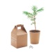 Growtree - Un juego, un alfiler, semilla publicidad