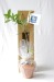 Planta de árbol en bolsa de kraft regalo de empresa