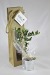 Plant d'arbre en sac kraft - Résineux, Arbre publicidad