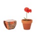 ADORMIDERA ROJA - Maceta de semillas de amapola regalo de empresa