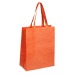Bolsa de compras de Cattyr regalo de empresa