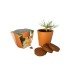 Kit de plantación de terracota 10cm regalo de empresa