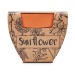 Miniatura del producto SUNFLOWER - Maceta de semillas de girasol 3