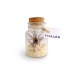 Tillandsia en botella 11cm regalo de empresa