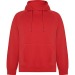 VINSON - Sweat à capuche unisexe en coton biologique peigné et polyester recyclé, Sweat à capuche publicidad