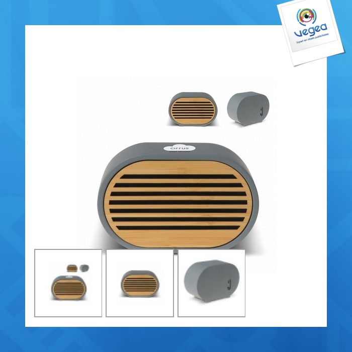 Altavoz de hormigón calcáreo de 5 w y cargador inalámbrico