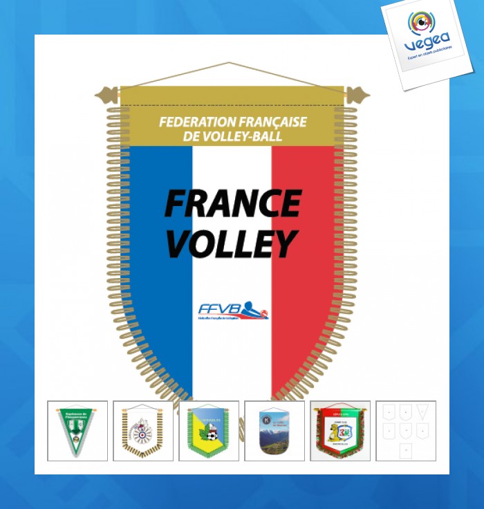 Banderín de promoción de intercambio 18x25cm