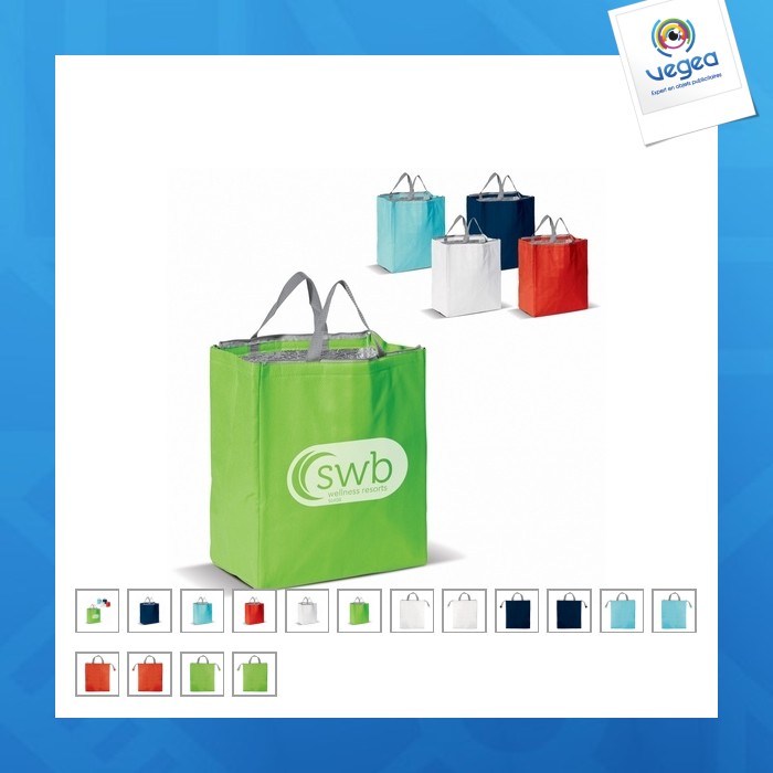 Bolsa nevera
