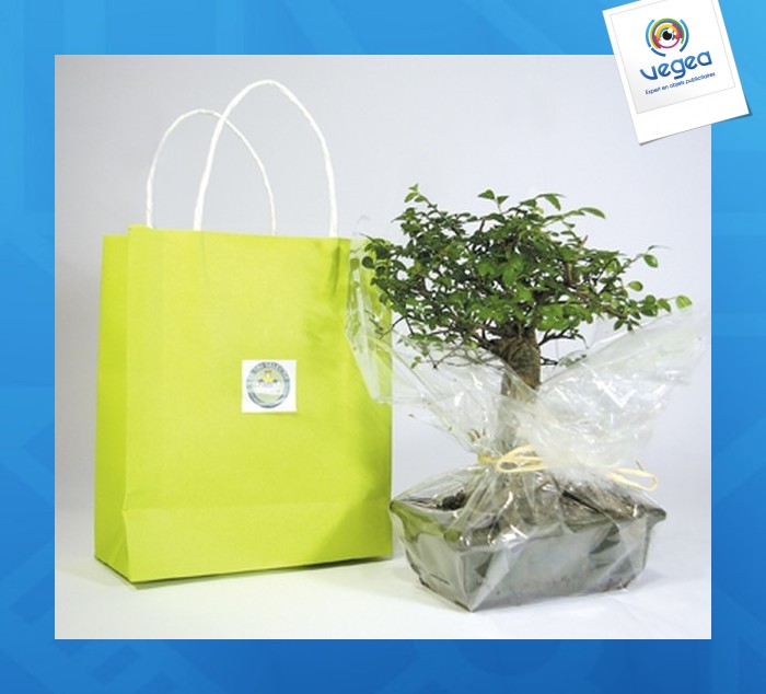 Bonsái de promoción en bolsas de kraft