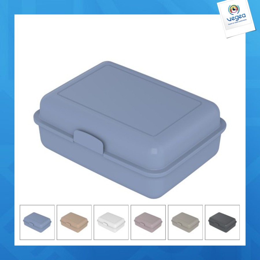 Caja de preservación de bioplástico 17x12cm