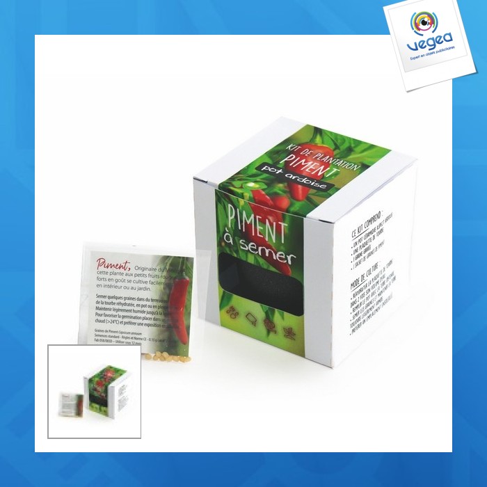 Cubo de semillas personalizables ardoise - guindilla