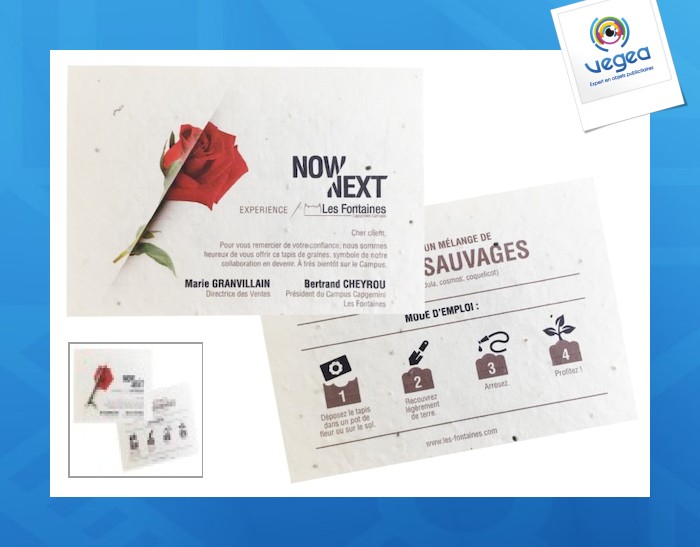 Estera de siembra 10,5 x 14,8 cm - a6 200 gr a ambos lados