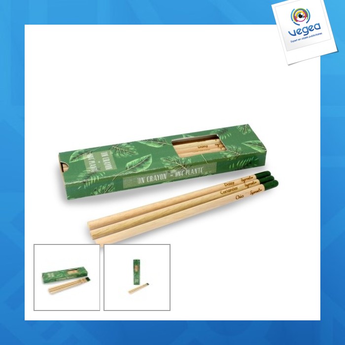 Estuche de 3 lápices de colores para semillas de promoción