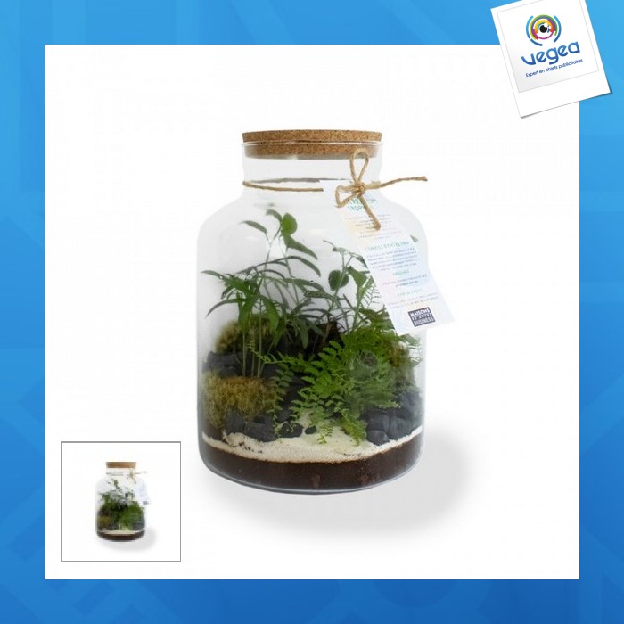 Gran terrario personalizable tropical