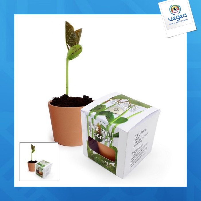 Kit de plantación con semillas de promoción grabadas