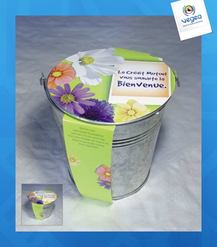 Kit de plantación de promoción maceta de zinc de 12 cm