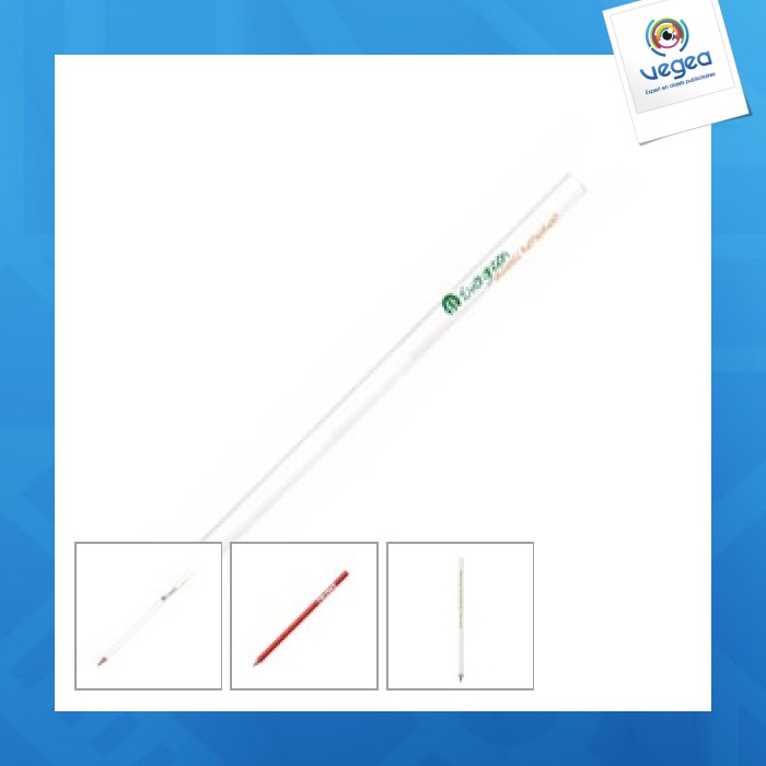 Lápiz de la evolución con extremo cortado bic