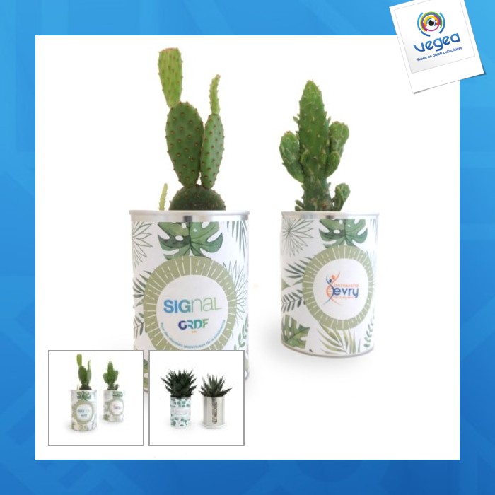 Lata con planta personalizable en crecimiento