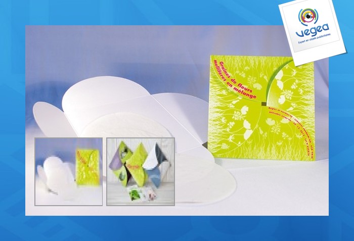 Mapa ecológico con semillas