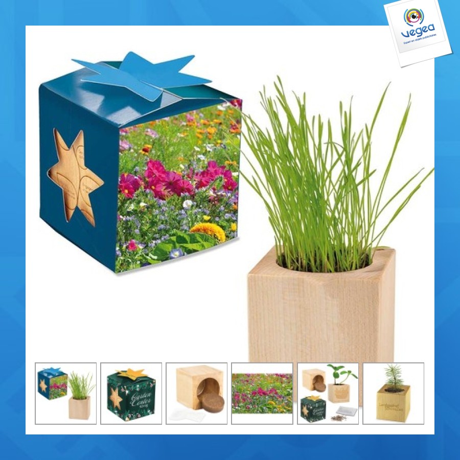 Maxi cubo de madera para maceta en estuche de estrella - mezcla de flores de verano