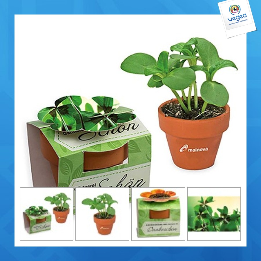 Mini pot terre cuite en fourreau fleur - bulbes de trèfle à 4 feuilles de promoción