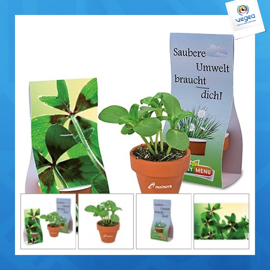 Mini pot terre cuite sous pochette - bulbes de trèfle à 4 feuilles de promoción