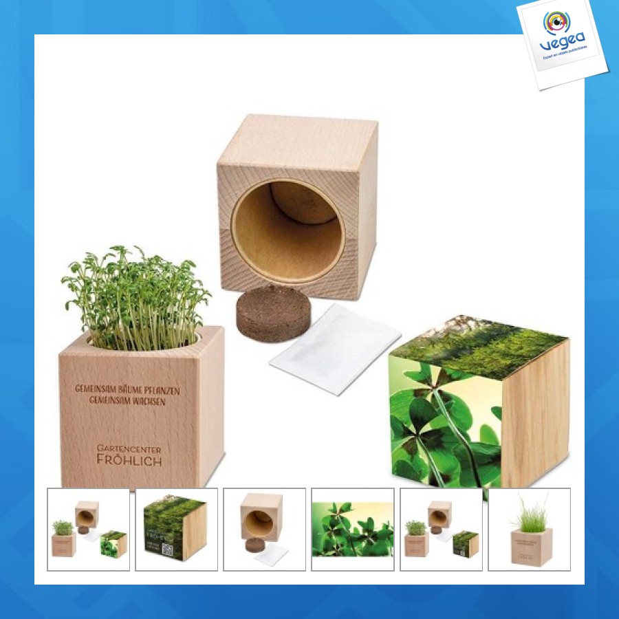 Plante-bois grande avec graines - bulbes de trèfle à 4 feuilles de promoción