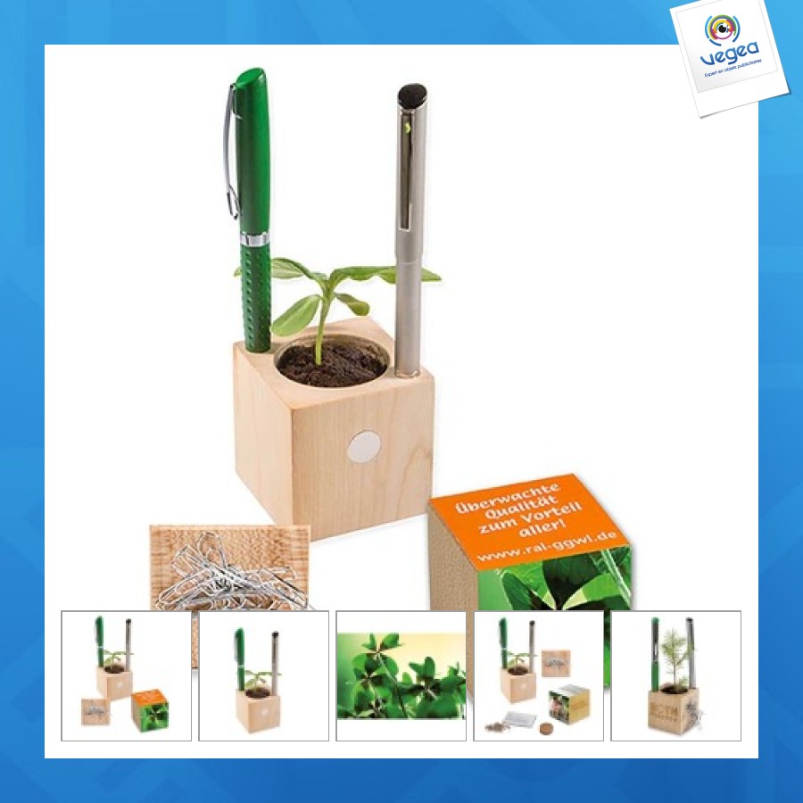 Pot cube bois de bureau - bulbes de trèfle à 4 feuilles personalizable