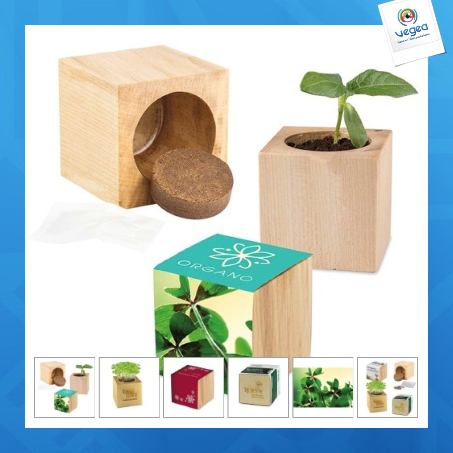 Pot cube bois maxi - bulbes de trèfle à 4 feuilles personalizable