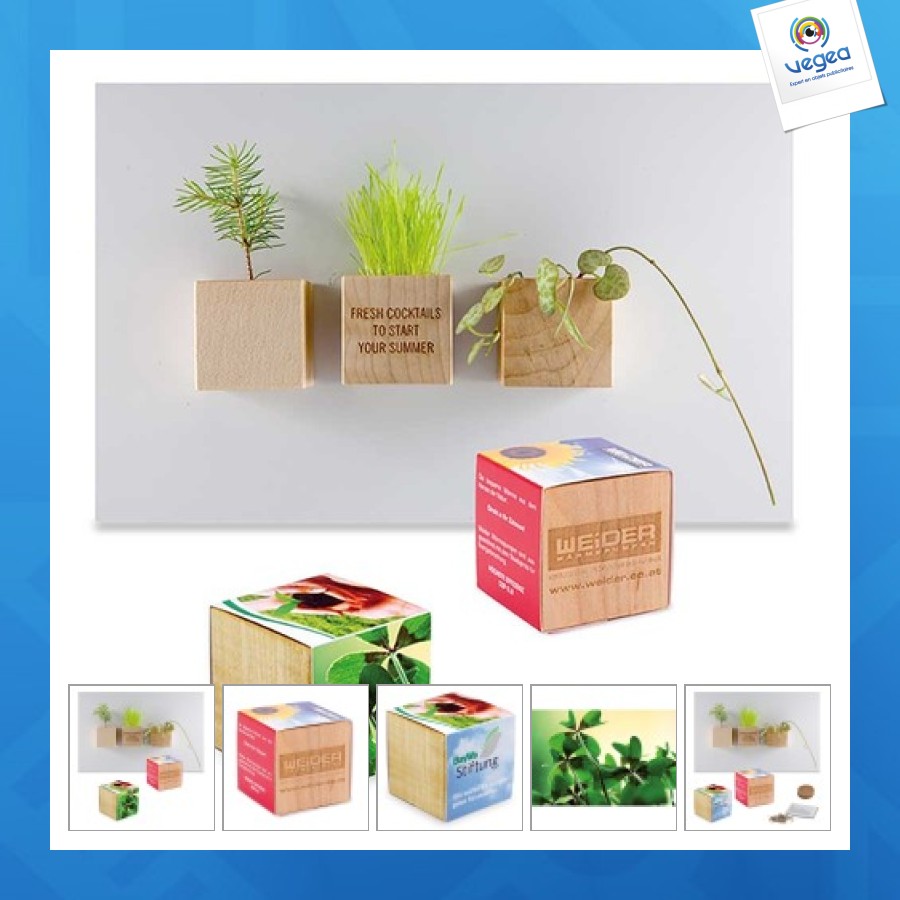 Pot cube bois mini avec aimant - bulbes de trèfle à 4 feuilles personalizable