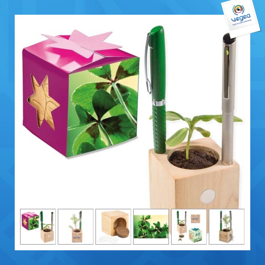Pot cube boisde bureau en boite star-box - bulbes de trèfle à 4 feuilles personalizable