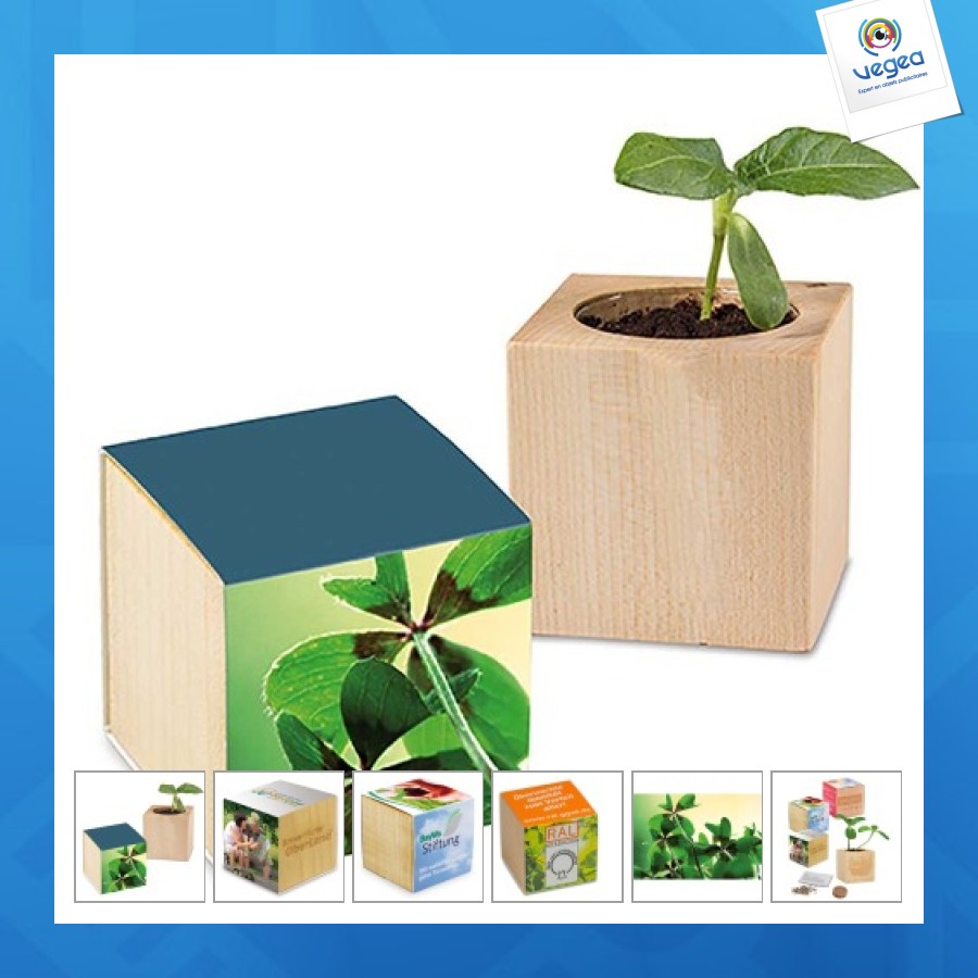 Pot cube - bulbes de trèfle à 4 feuilles personalizable