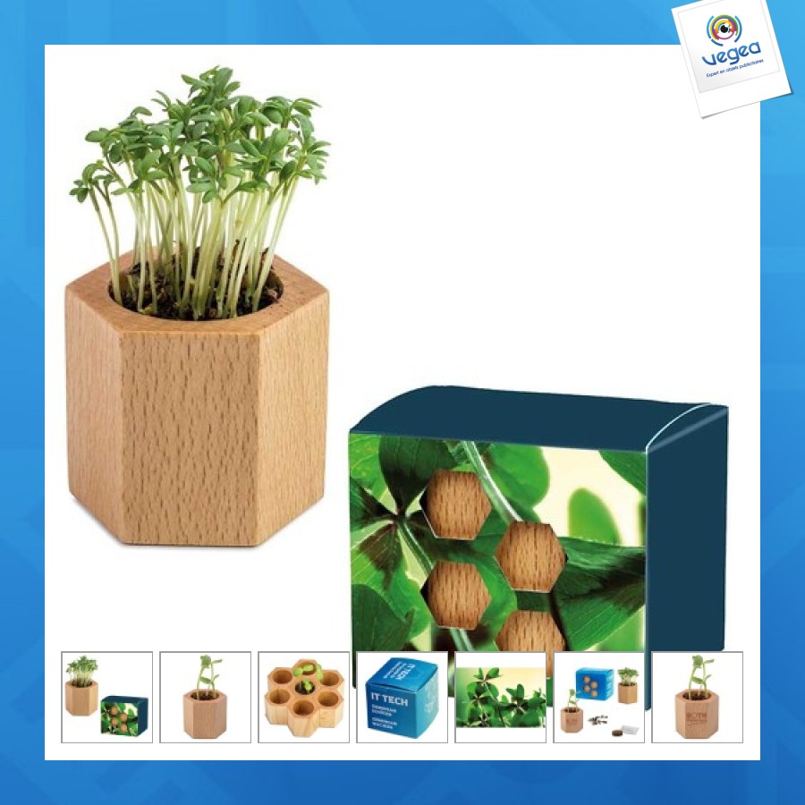 Pot cube hexagon avec graines - bulbes de trèfle à 4 feuilles de promoción