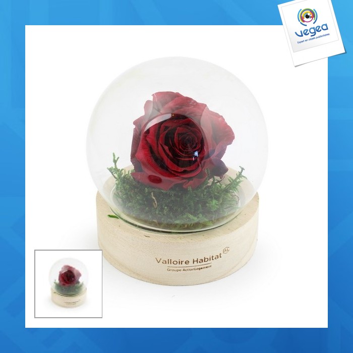 Rosa eterna