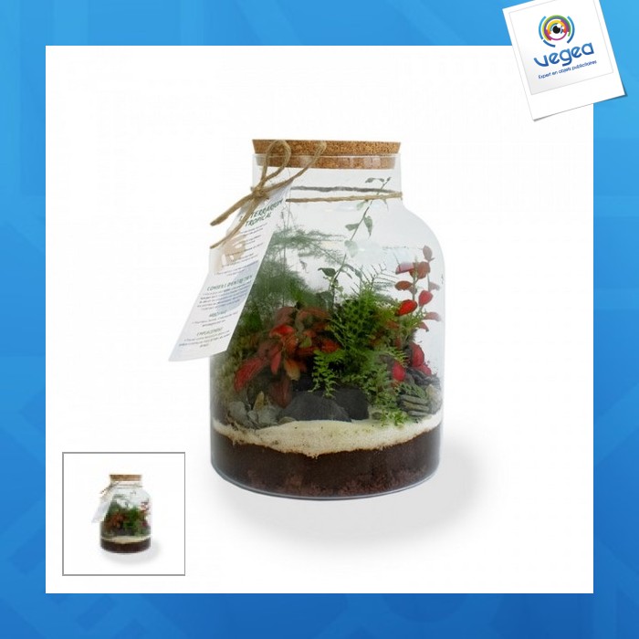 Terrario personalizable tropical confort