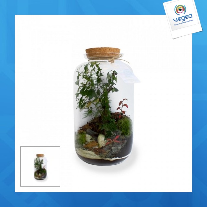 Terrario personalizable tropical de lujo