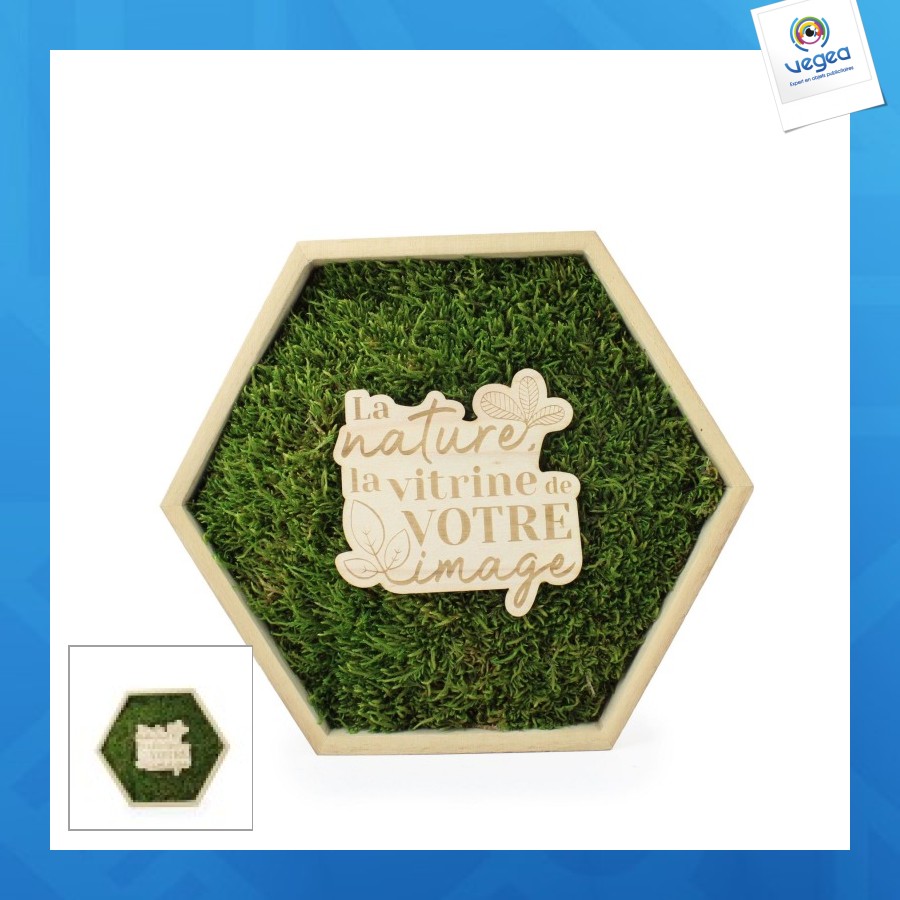 Trophée de promoción mousse hexagonal - à partir de 10ex sur devis