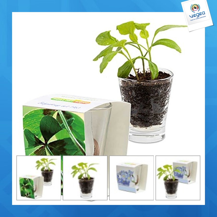 Verre expresso - bulbes de trèfle à 4 feuilles personalizable